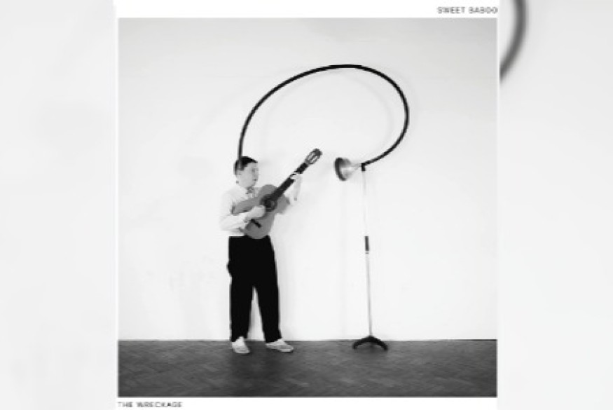 "The Wreckage" - Sweet Baboo