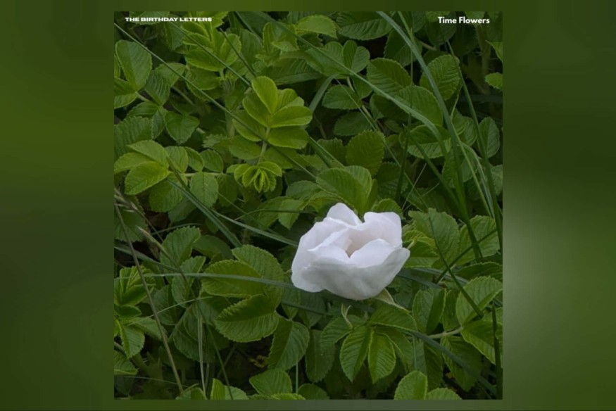 "Time Flowers" - The Birthday Letters